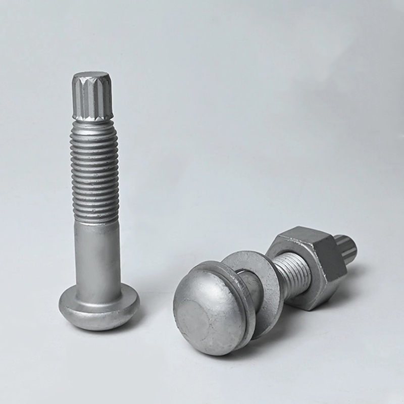 ASTM F2280 A490 Bolt de forfecare cu cuplu galvanizat la cald ASTM F2280 A490 Bolt de forfecare cu cuplu galvanizat la cald